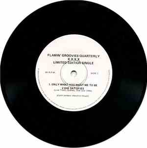 The Flamin' Groovies - Only What You Want Me To Be