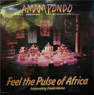 Amampondo - Feel The Pulse Of Africa