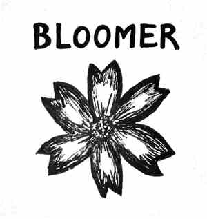 Bloomer  - Demo