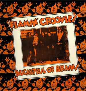 Flamin' Groovies - Bucketful Of Brains