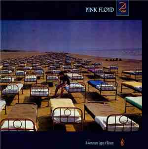Pink Floyd - A Momentary Lapse Of Reason
