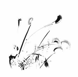 Self-Inflicted Violence  - A Perception Of Matter And Energy