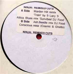Various - Remixed Cuts From Funkjazztical Tricknology
