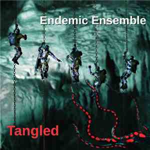 Endemic Ensemble - Tangled