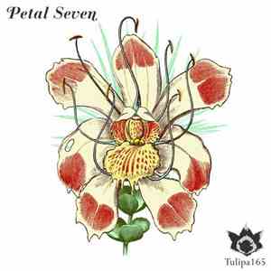 Various - Petal Seven