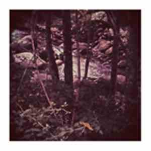 Christine Sehnaoui, Dragos Tara, D'incise - AT .EP