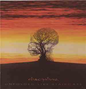 Discipline. - Unfolded Like Staircase