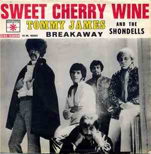 Tommy James And The Shondells - Sweet Cherry Wine