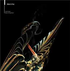 Adan & Ilse - Cold Flesh / Boys In Eyeliner
