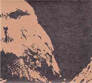 Arrows  - Knives Are Falling From The Sky