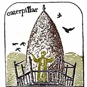 Caterpillar  - Swim Away