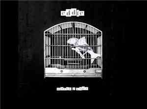 Banda Eddie - Morte e Vida