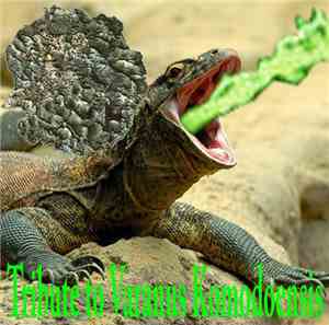 FxAxUxOxFxSxVxLxOxIxVxPxMxOxLxFxDx - Tribute To Varanus Komodoensis