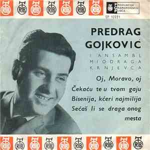 Predrag Gojković I Ansambl Miodraga Krnjevca - Oj, Moravo, Oj
