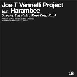Joe T. Vannelli Project feat. Harambee - Sweetest Day Of May (Knee Deep Rmx ...