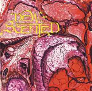 Dew-Scented - Immortelle