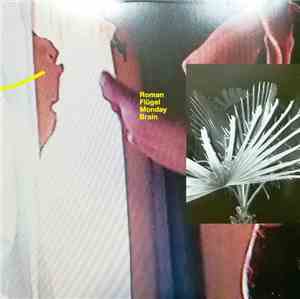 Roman Flügel - Monday Brain