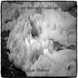 See Through Buildings - Algae Blooms