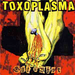 Toxoplasma - Gut & Böse