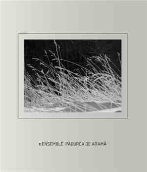 π ensemble - Padurea de Arama