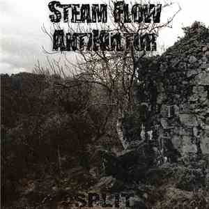 Steam Flow / AntiKultur - Split