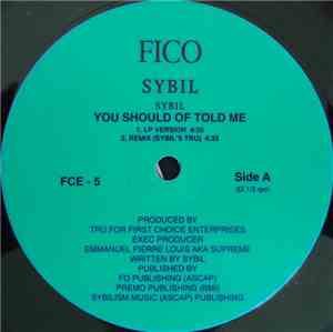 Sybil - You Should Of Told Me