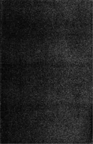 Til Det Bergens Skyggene - Vandringen II (Lynnelandskap)