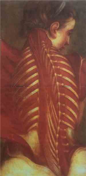 General Surgery / Butcher ABC - General Surgery Vs Butcher ABC