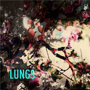 LUNGS  - Not Mine