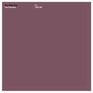 The Black Dog - Peel Session