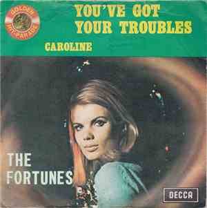 The Fortunes - You've Got Your Troubles