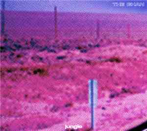 The Ghan - Jungle