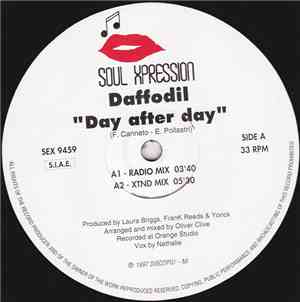Daffodil - Day After Day