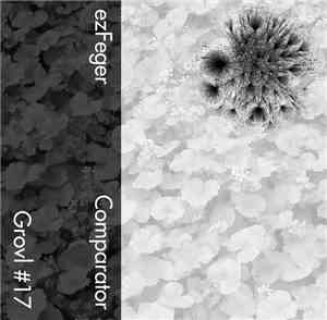 ezFeger - Comparator
