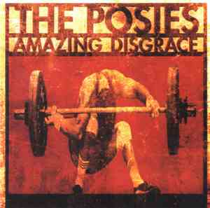 The Posies - Amazing Disgrace