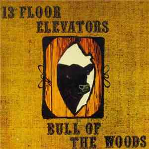 13th Floor Elevators - Bull Of The Woods