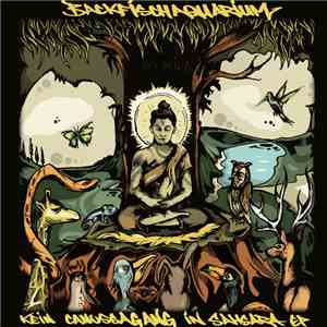 Backfischaquarium - Kein Canossagang in Samsara EP