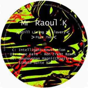 Mr Raoul K - Still Living In Slavery (Part Two)