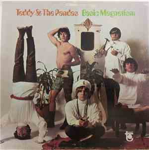 Teddy & The Pandas - Basic Magnetism