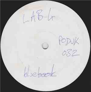 Lab 4 - Bluebook