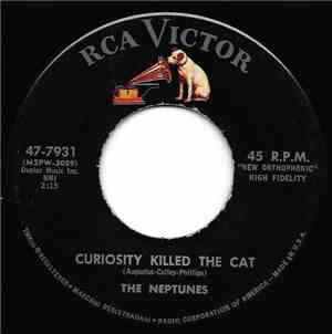 The Neptunes  - Curiosity Killed The Cat