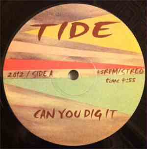 Various - Can You Dig It / Disco Foxx