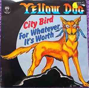 Yellow Dog - City Bird