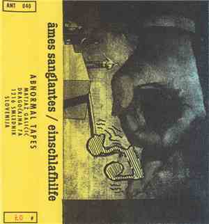 Âmes Sanglantes / Einschlafhilfe - Noise Addict / Stop The Police