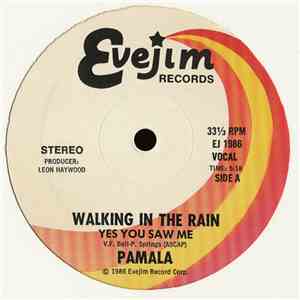 Pamala Stanley - Walking In The Rain (Yes You Saw Me)