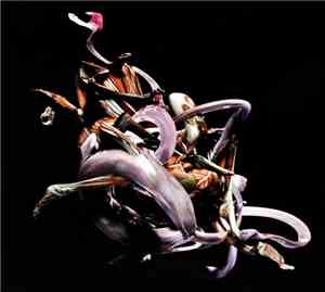 Various - Mykki Blanco Present C-ORE