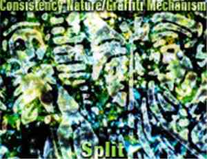 Consistency Nature / Graffiti Mechanism - Split