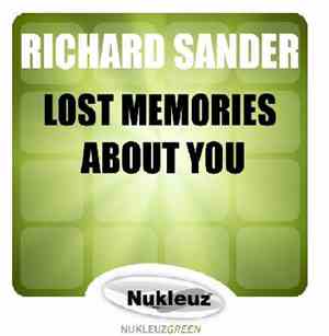 Richard Sander - Lost Memories About You