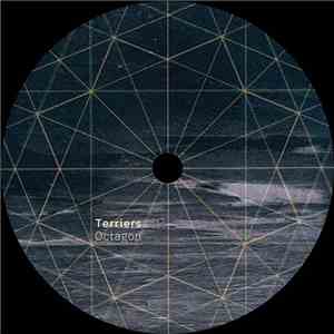 Terriers  - Octagon