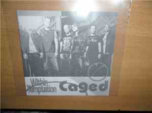 Within Temptation - Caged